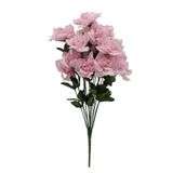 20&quot; Rose Bush x14 w/3.5&quot;-4&quot; Heads Pink