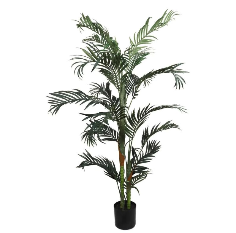 6&#39; Potted Areca Palm Tree Green