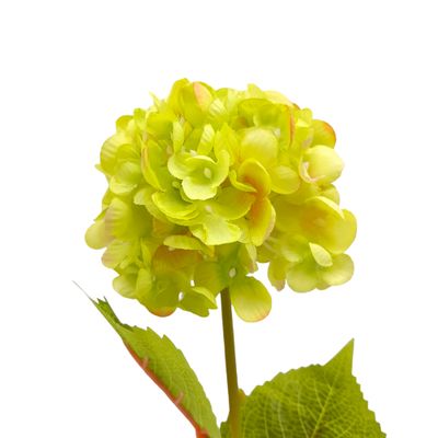 23&quot; Hydrangea Stem w/4&quot; Head Green