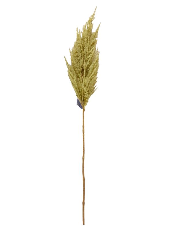 32&quot; Pampas Grass Spray Green