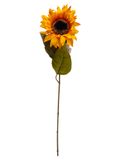 29&quot; Sunflower Stem w/6&quot; Head Yellow/Orange