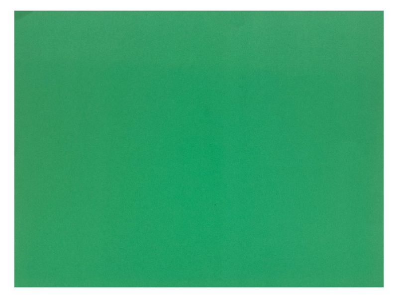 22&quot;x28&quot; Poster Board Green