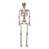 35&quot; Hanging Posable Skeleton