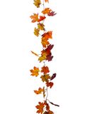 6&#39; Maple Leaf Garland