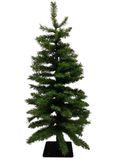 3&#39; Slim Spruce Tree