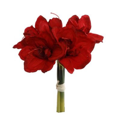 12.5&quot; Amaryllis Bundle x5 w/4.5&quot; Heads Red