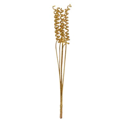 30&quot; Sparkle Cane Spring x5 Gold