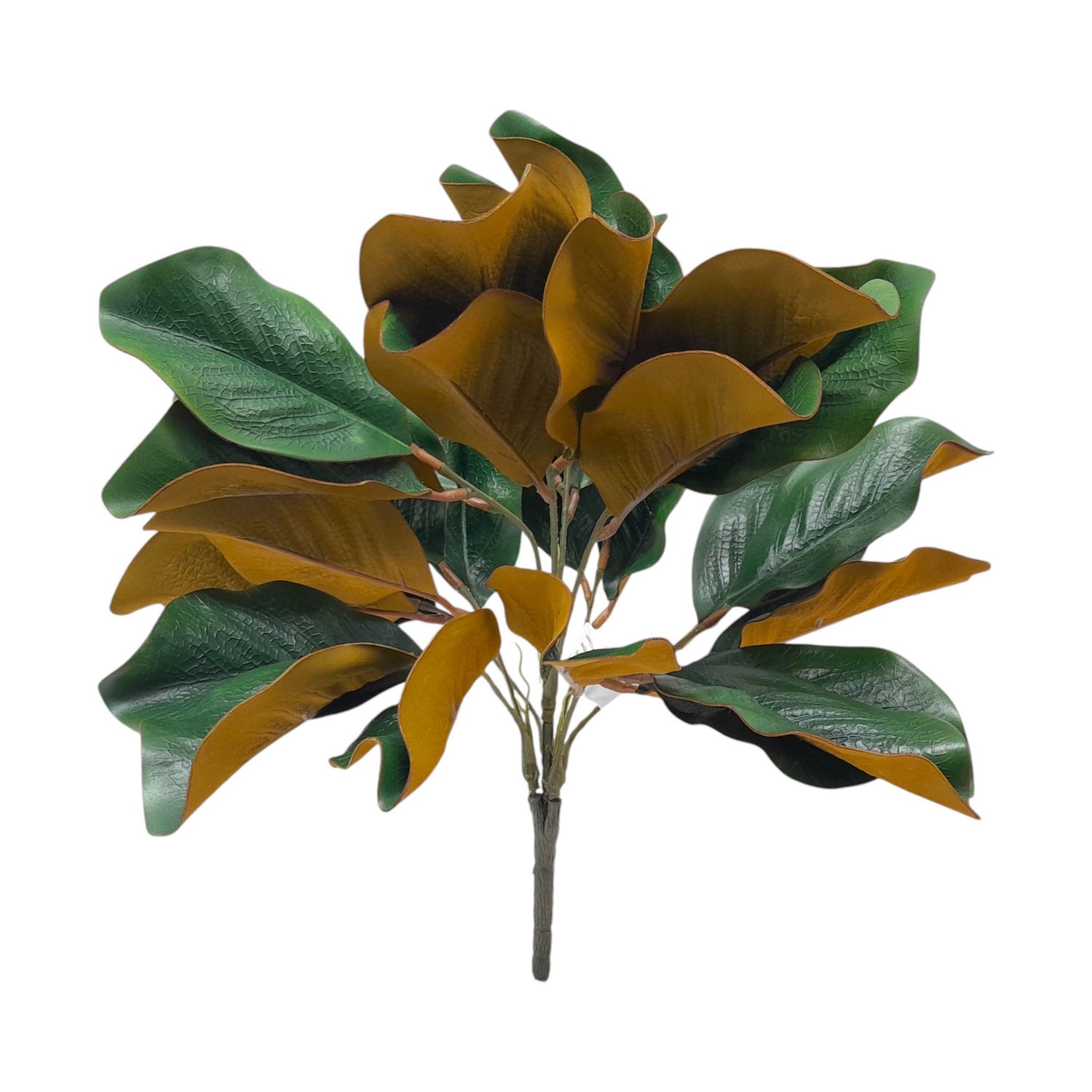 18&quot; Magnolia Leaf Bush w/30 Leaves Green