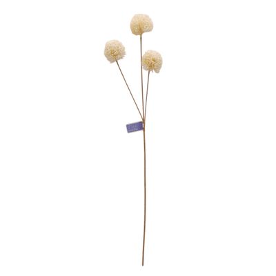 25&quot; Allium Spray x3 w/2&quot;-2.5&quot; Heads White