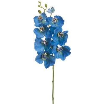 30&quot; Phalaenopsis Orchid Spray  Delphinium