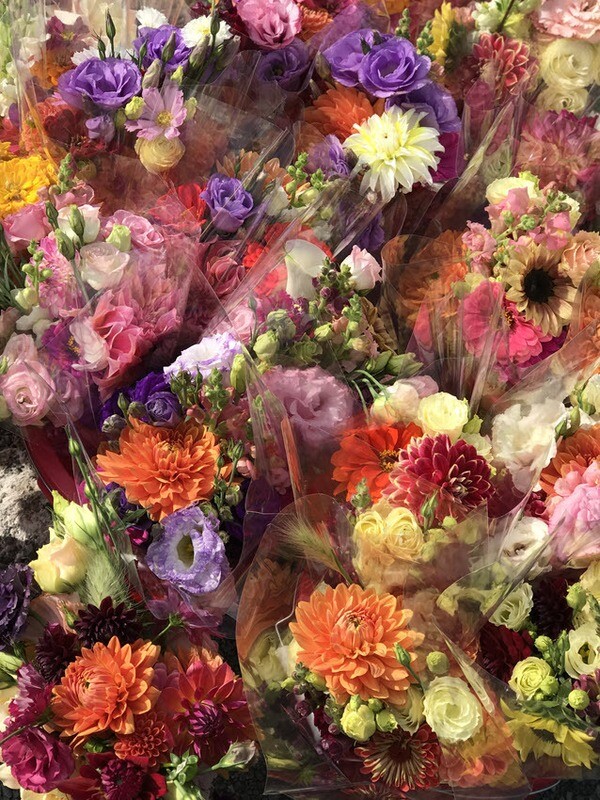 Dahlia Summer Mix Bouquet Subscription (August)