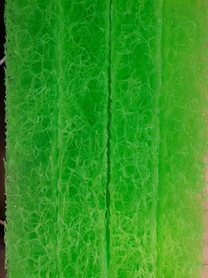 BIO-SPIRAL SPONS 100x50 cm (filtermat)
