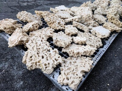 Shelf Base Rock (18 KG doos) (dood steen)