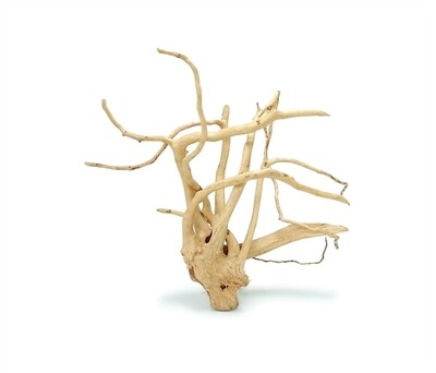 Spiderwood 21-30 cm per stuk