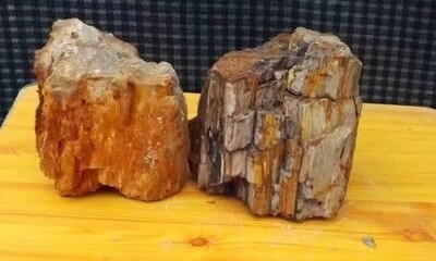 Petrified WOOD (versteend hout) (afmetingen 15-30 cm) per KG