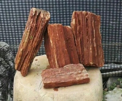 Petrified WOOD (versteend hout) (afmetingen 15-30 cm) per KG