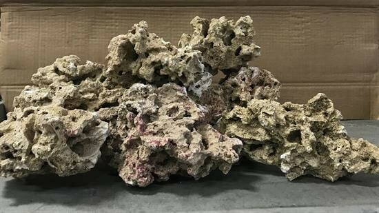 Indonesia - Base Rock (doos 18-22 KG)
