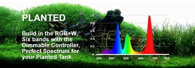 Micmol SOLO zoetwater PLANTED 20W