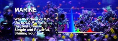 Micmol SOLO zeewater MARINE 20W
