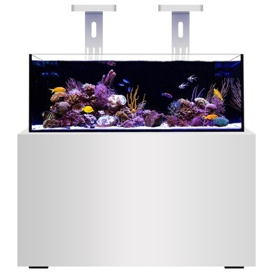 Micmol G4 zeewater 120W