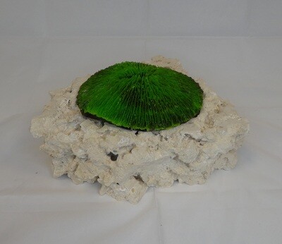 Kunstkoraal SH006-GROEN