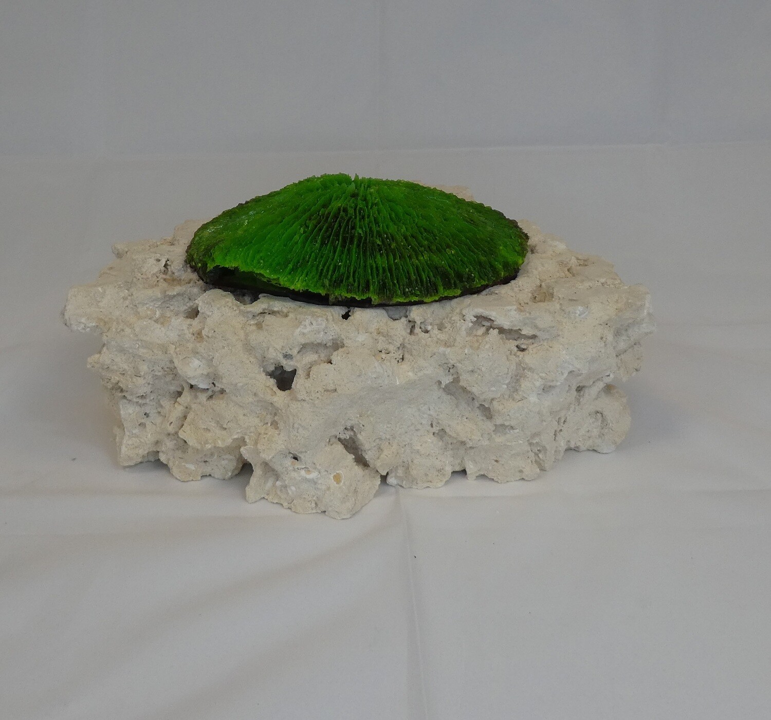 Kunstkoraal SH006-GROEN