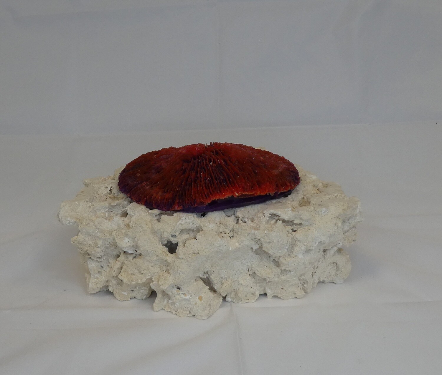 Kunstkoraal SH006-ROOD
