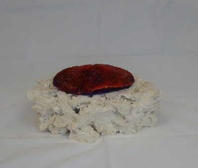 Kunstkoraal SH006-ROOD