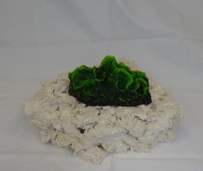Kunstkoraal SH011-GROEN