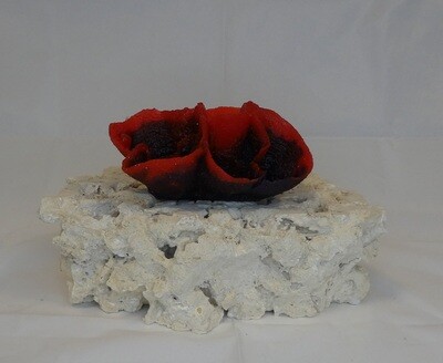 Kunstkoraal SH042-ROOD