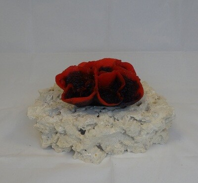 Kunstkoraal SH042-ROOD