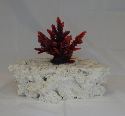 Kunstkoraal SH059-ROOD