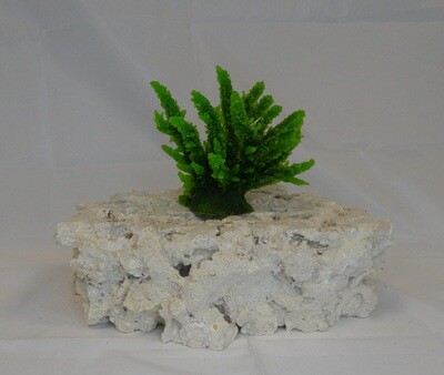 Kunstkoraal SH059-GROEN