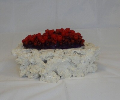Kunstkoraal SH063L-ROOD
