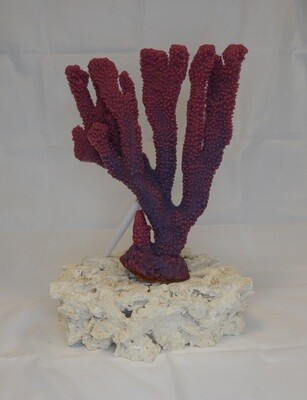 Kunstkoraal SH064-PAARS