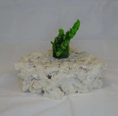 Kunstkoraal SH196-GROEN