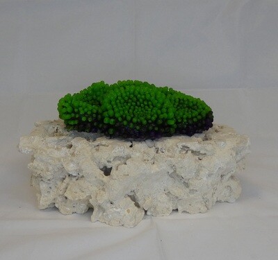 Kunstkoraal SH9015-GROEN