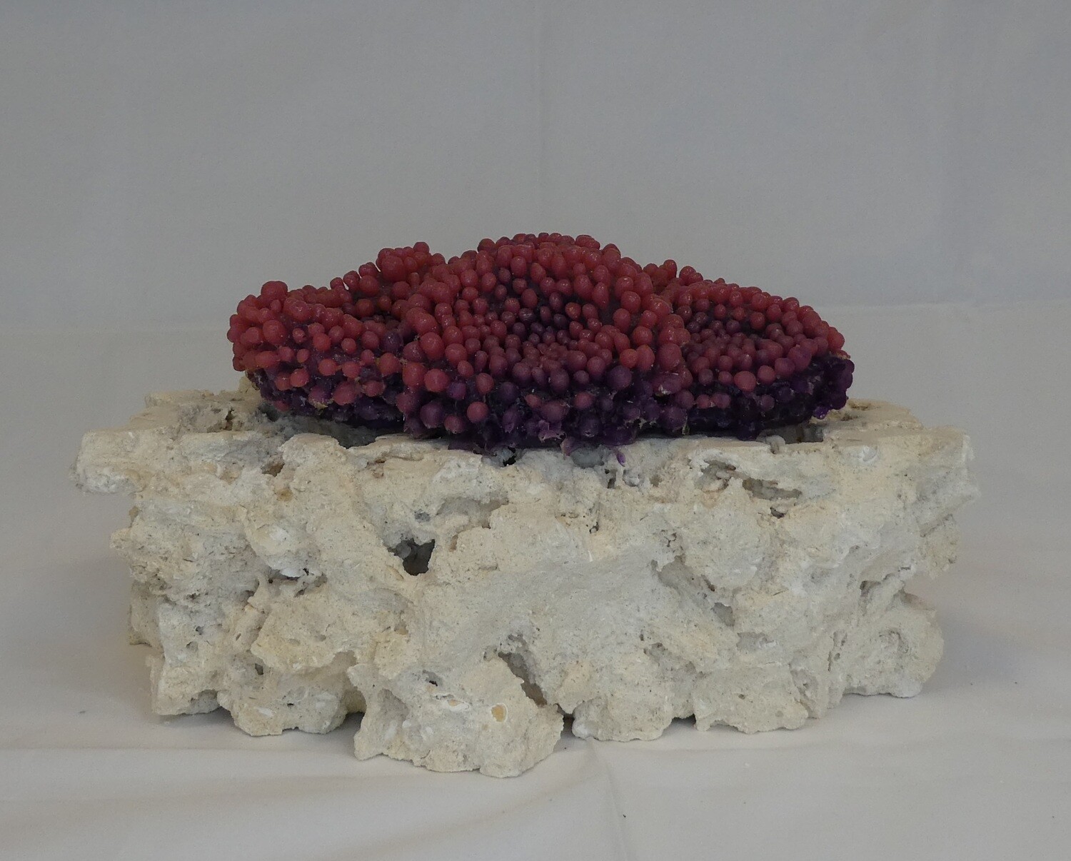 Kunstkoraal SH9015-PAARS