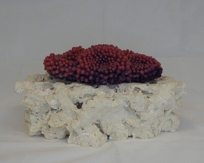 Kunstkoraal SH9015-PAARS