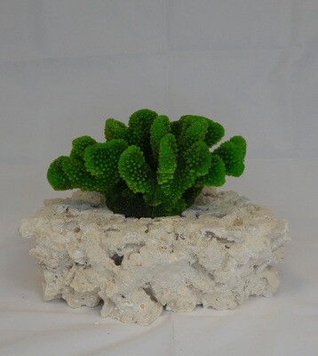 Kunstkoraal SH9027-GROEN