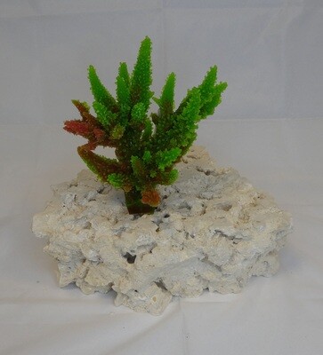 Kunstkoraal SH9038-GROEN