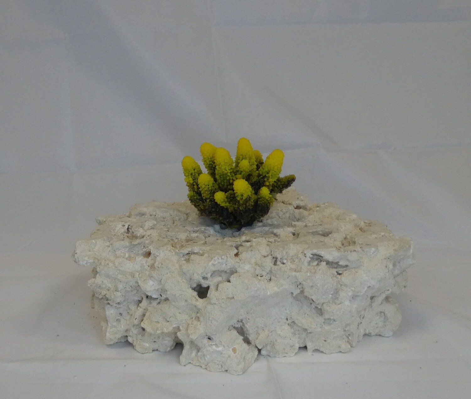 Kunstkoraal SH9039-GEEL