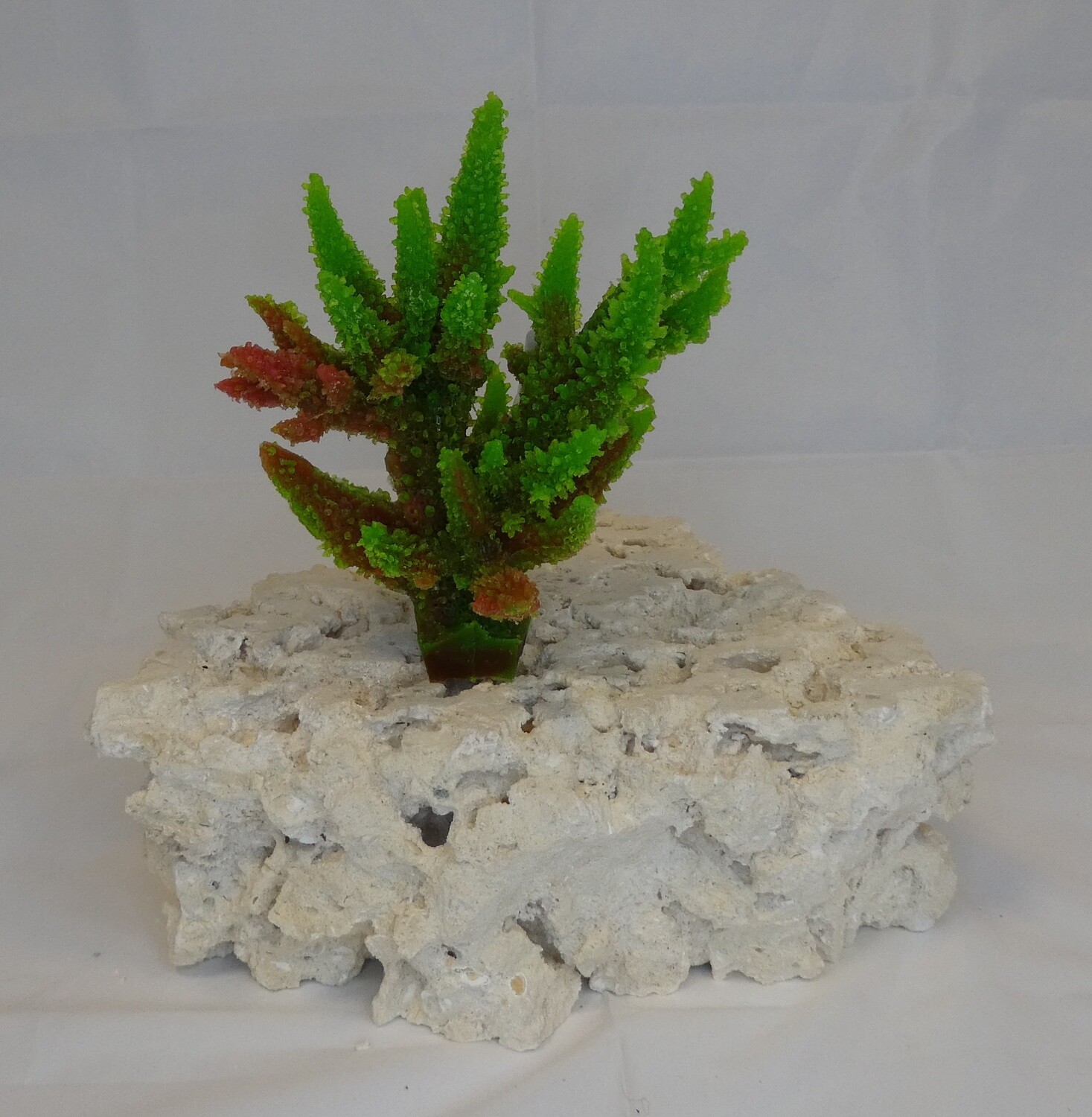 Kunstkoraal SH9038-GROEN