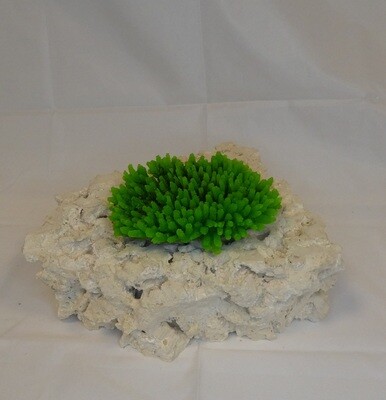 Kunstkoraal SH9042S-GROEN