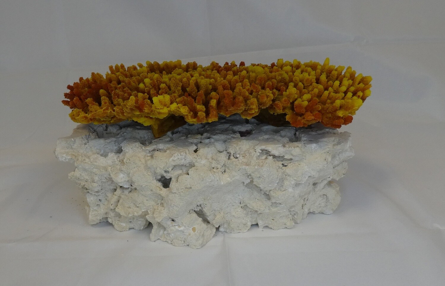 Kunstkoraal SH9042M-ORANJE