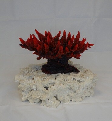 Kunstkoraal NI10-ROOD