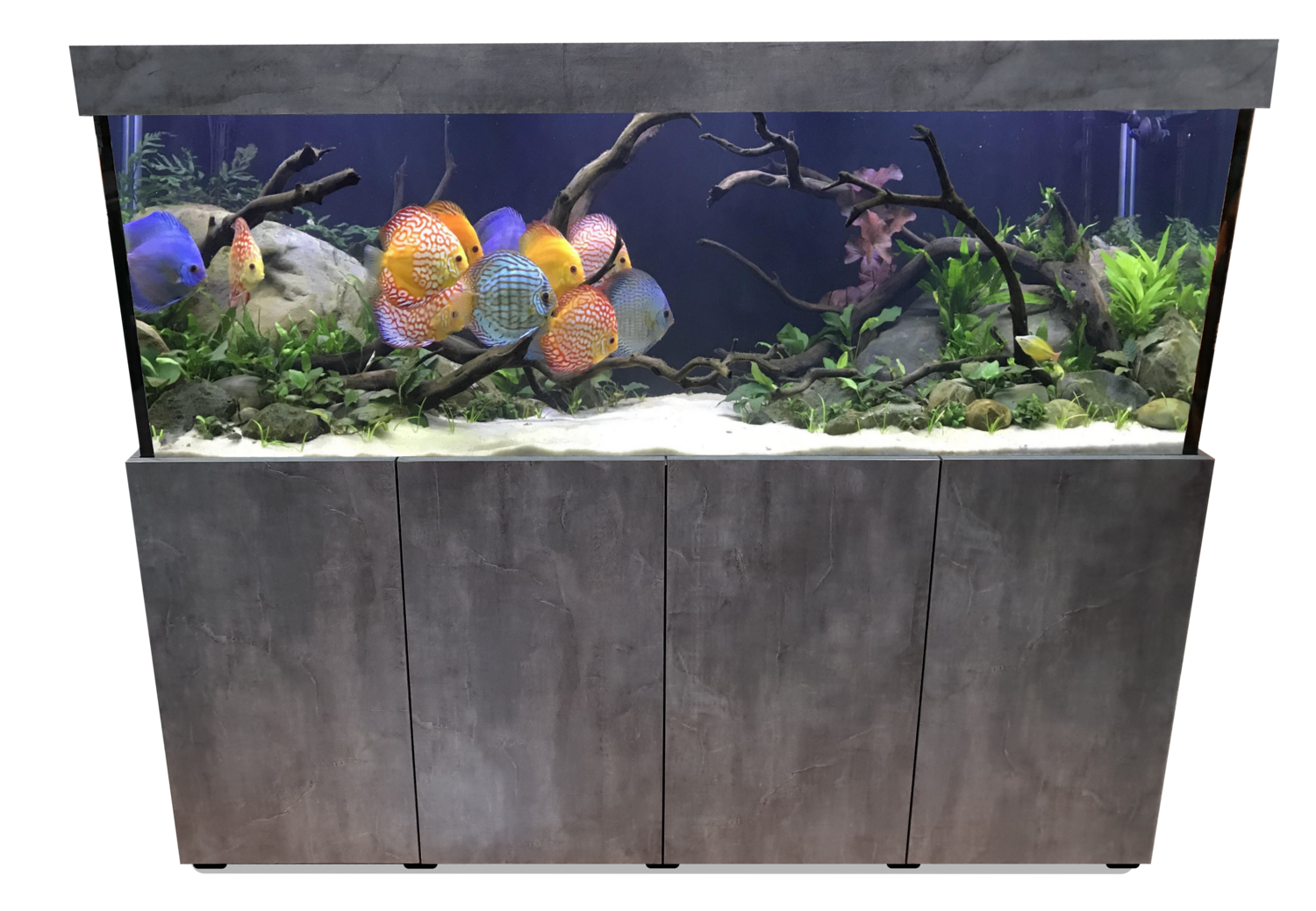 jongen houten Extreme armoede Aqualife MODERN LINE 250x60x70/150 cm (aquarium + meubel)