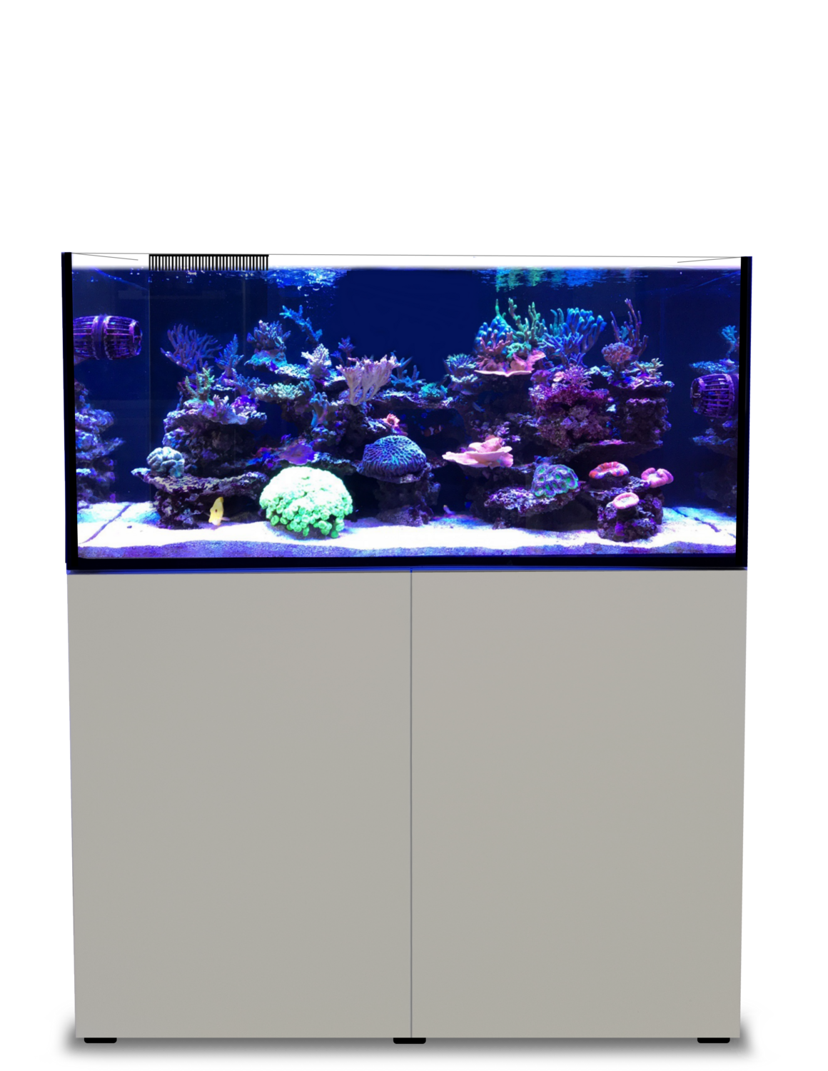 AMPHICULLA 500 - ULTIMATE REEF