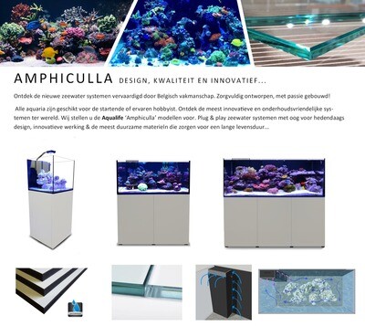 AMPHICULLA 250-C - ULTIMATE REEF