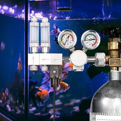 Aqualife CO2 Regulator PROFESSIONAL met magneetventiel 12V DC